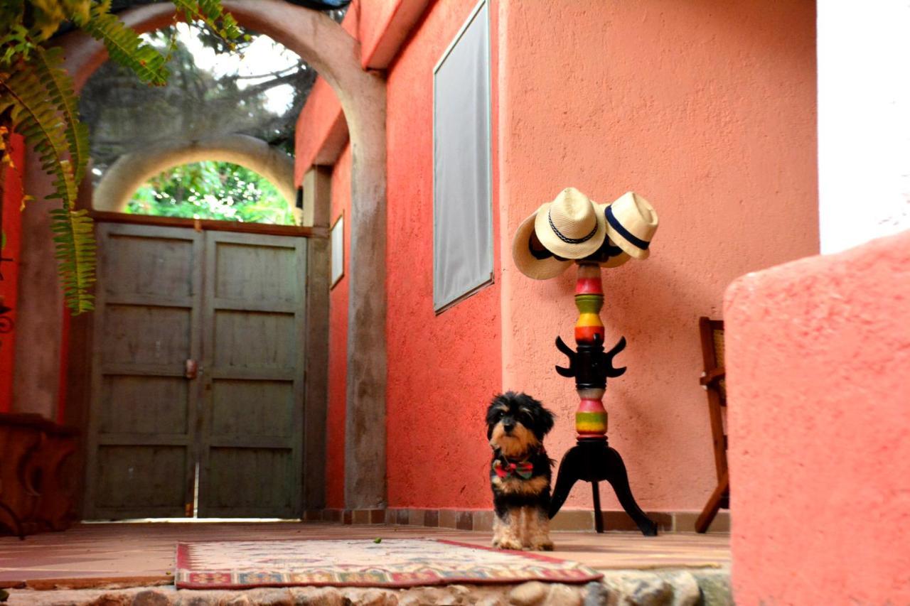 La Percha Hostal Palomino Exterior foto